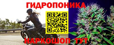 синтетический гашиш Будённовск