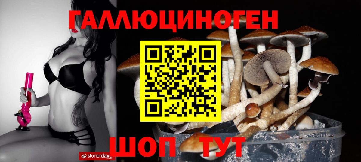 Омск  Галлюциногенные грибы GOLDEN TEACHER  Вход с VPN 
